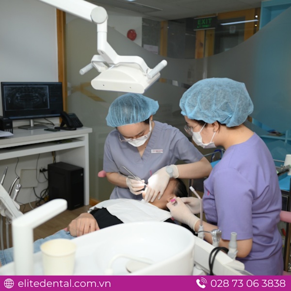 Plaque and tartar removal