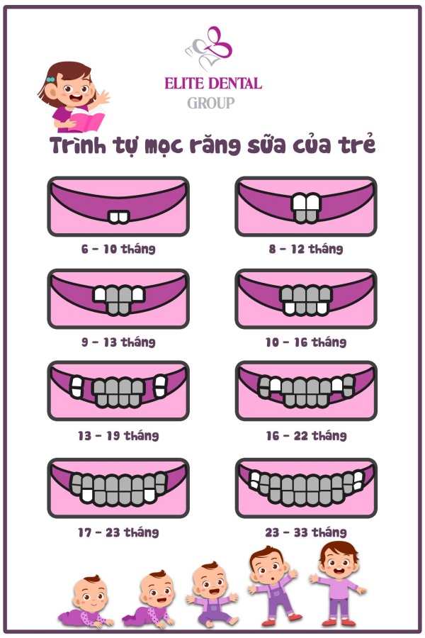 Trẻ mấy tháng là mọc răng? Dấu hiệu và cách chăm sóc chi tiết