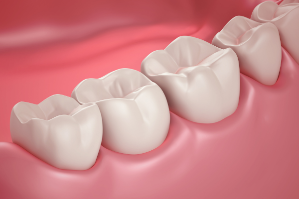 Răng hàm nằm phía trong cùng giúp hoàn thiện chức năng nhai