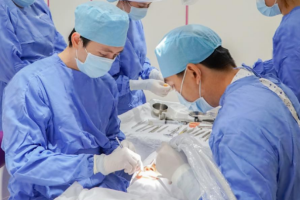 Các bác sĩ tại Elite Dental đang cấy ghép Implant